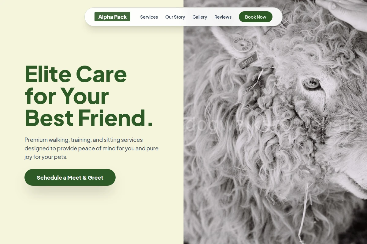 Step Animal Care