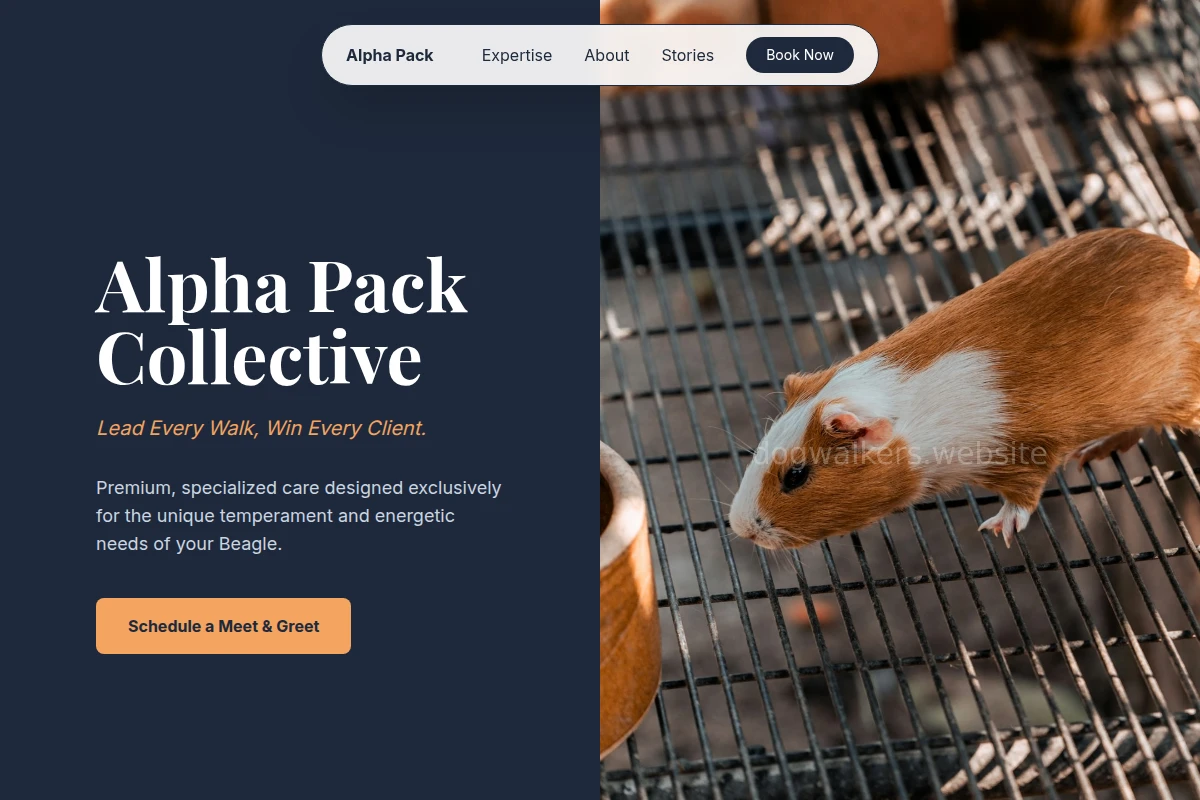 Beagle Animal Care