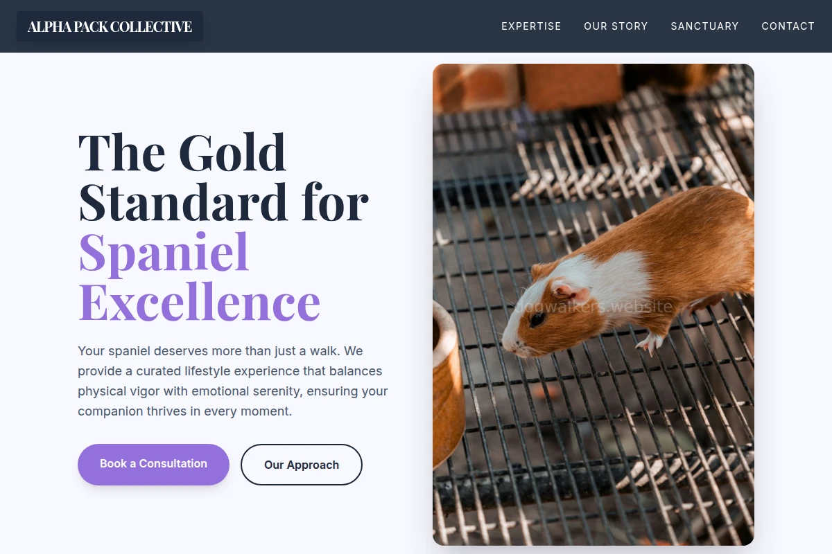 Spaniel Animal Care