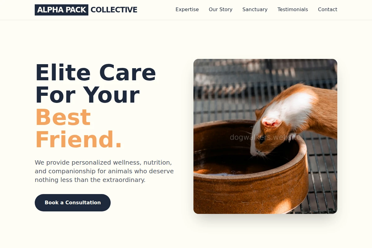 Paw Animal Care