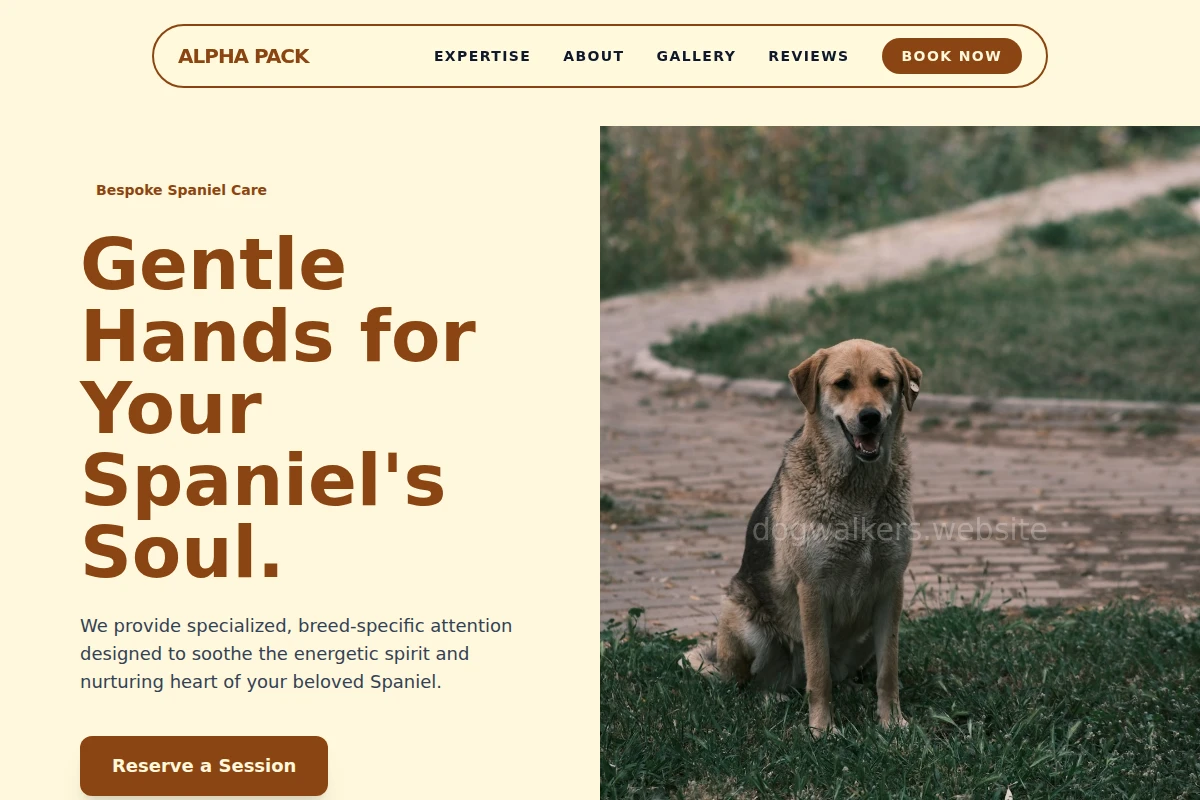 Spaniel Animal Care