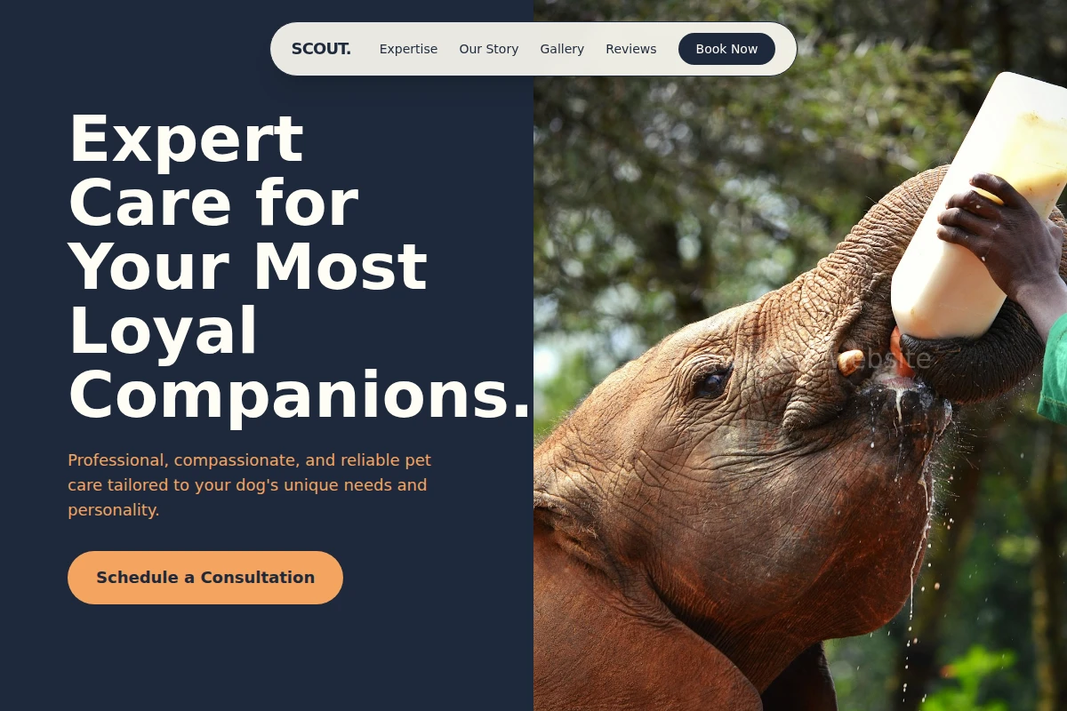 Scout Animal Care