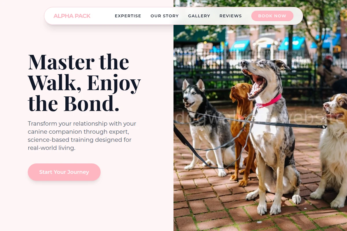 Path Dog Training