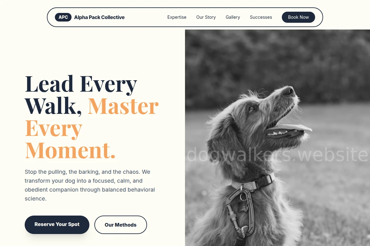 Stroll Dog Training