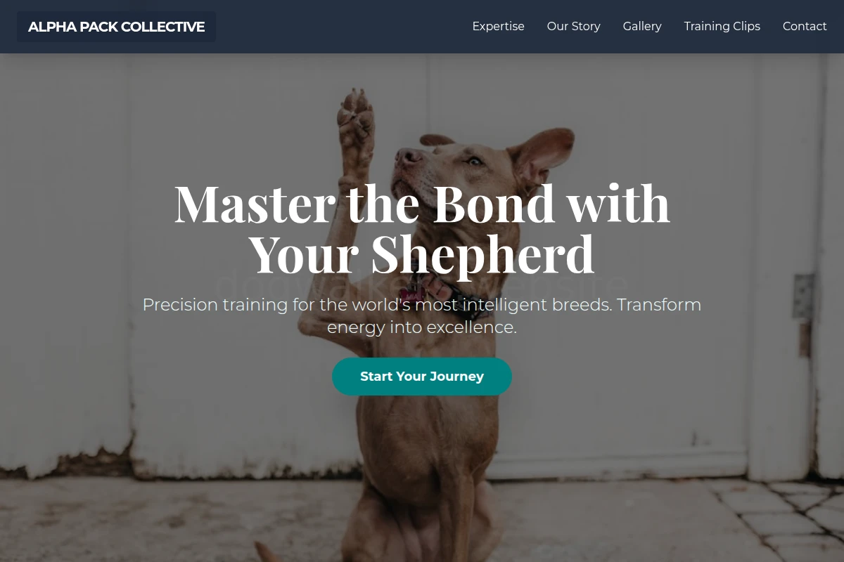 Shepherd Dog Training