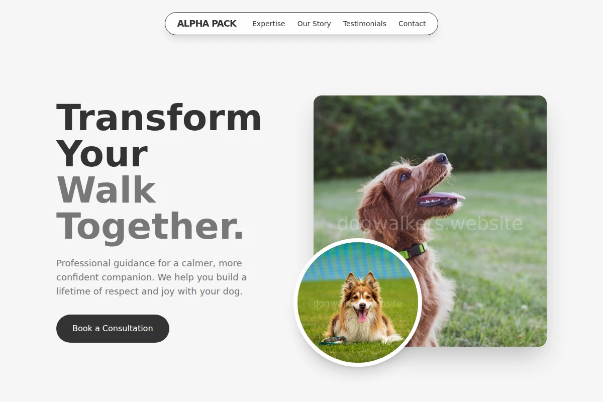 Canine Dog Training