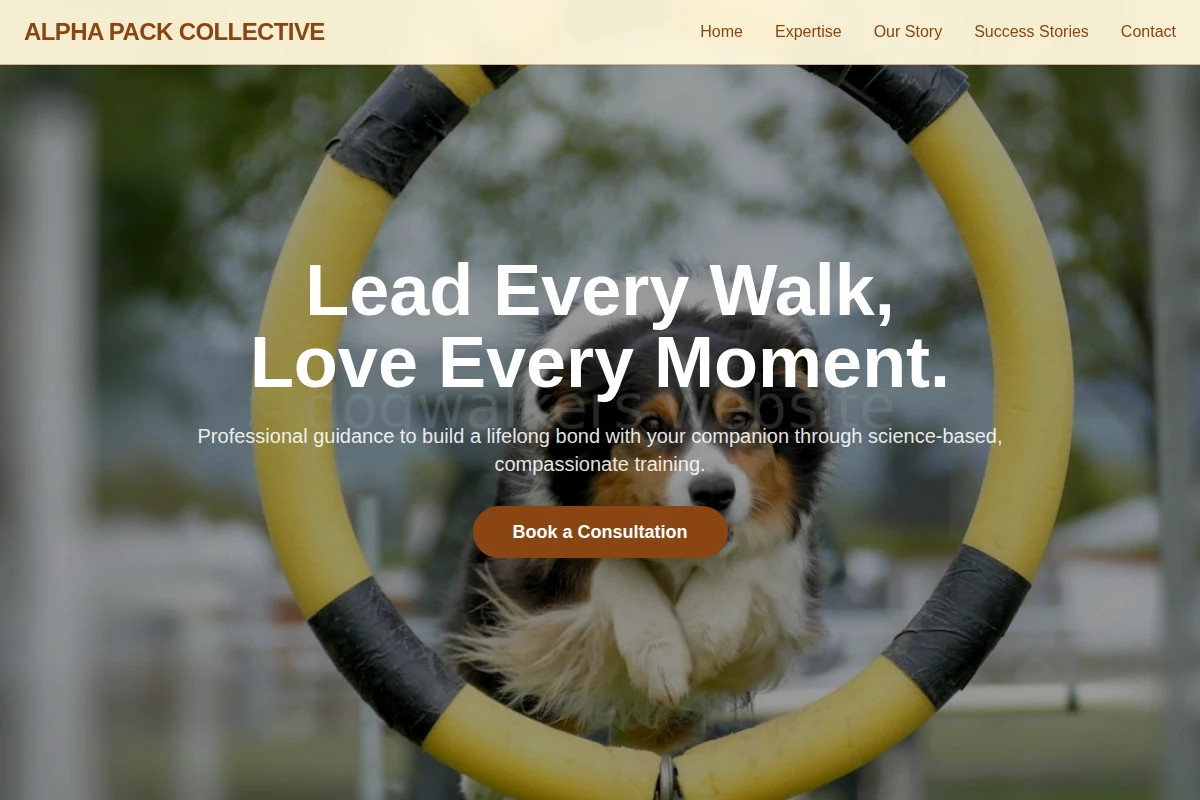 Fetch Dog Training