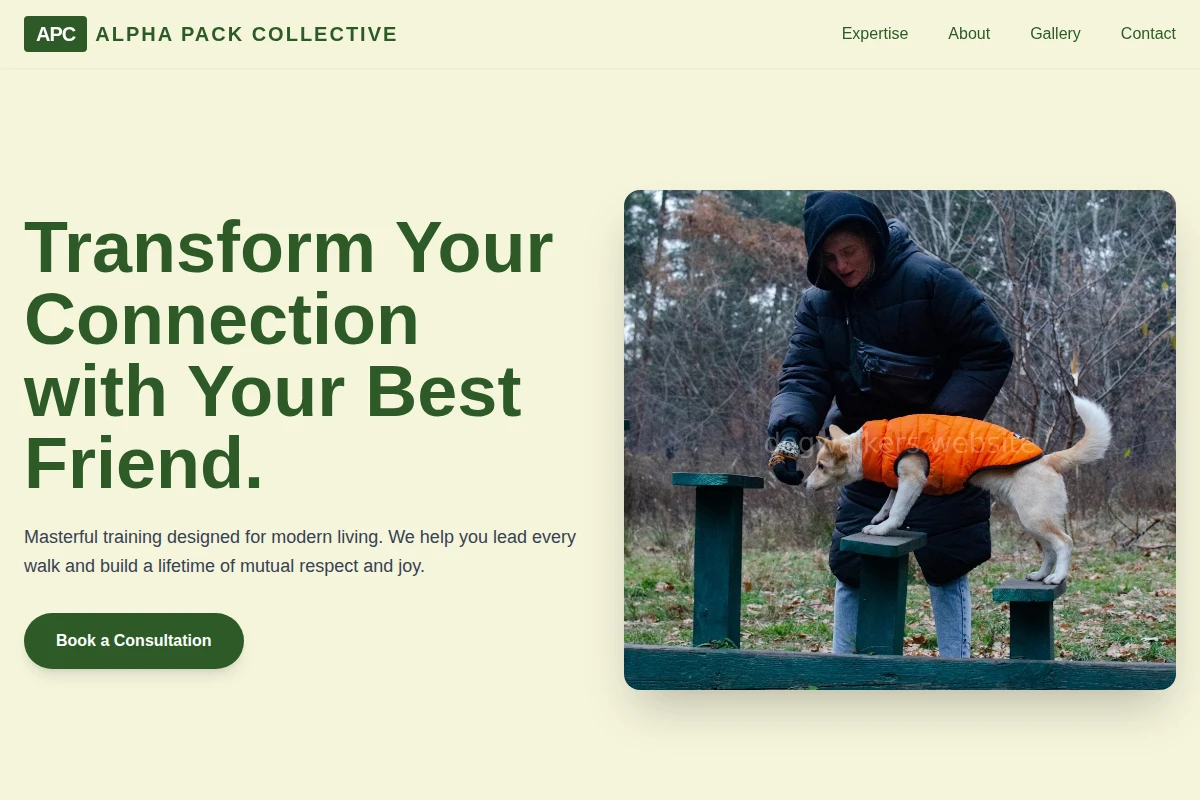 Bark Dog Training