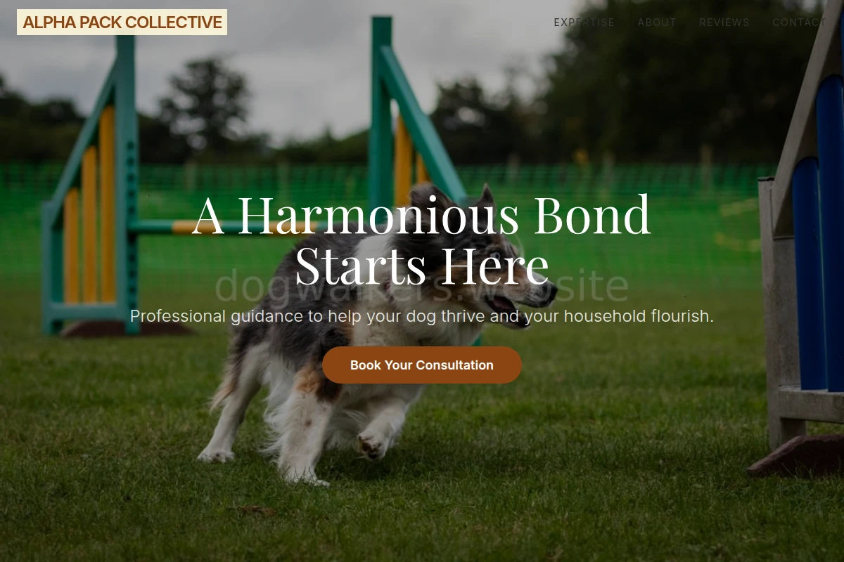 Treat Dog Training