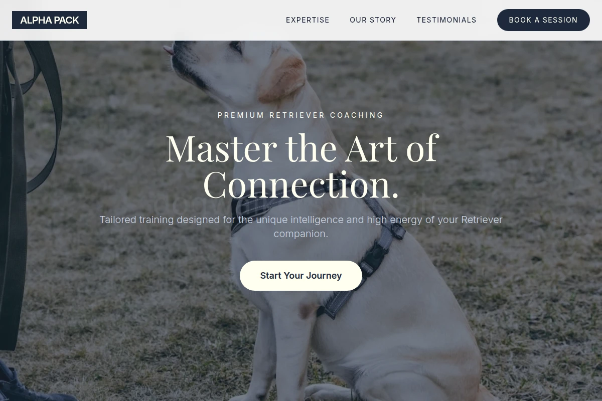 Retriever Dog Training