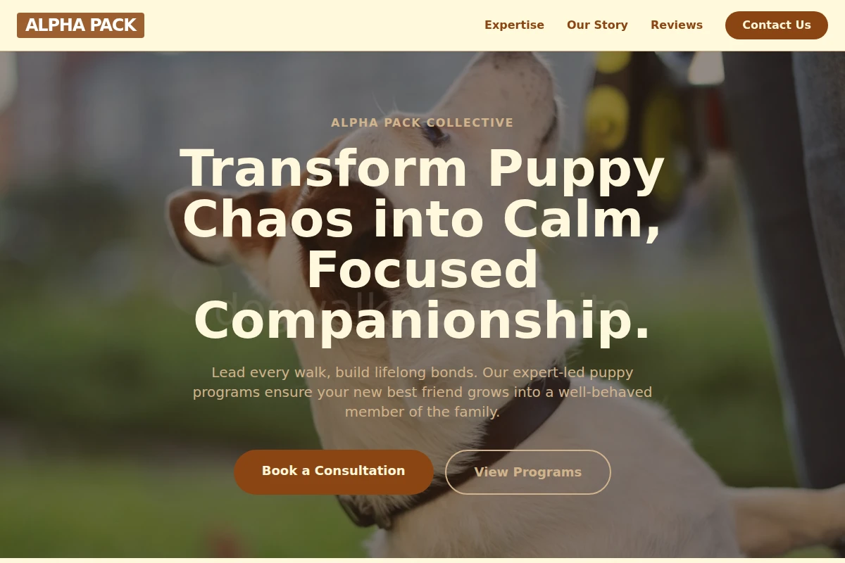 Puppy Dog Training