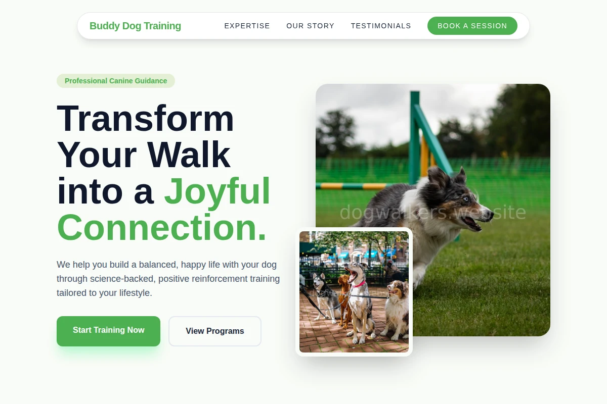 dog-training