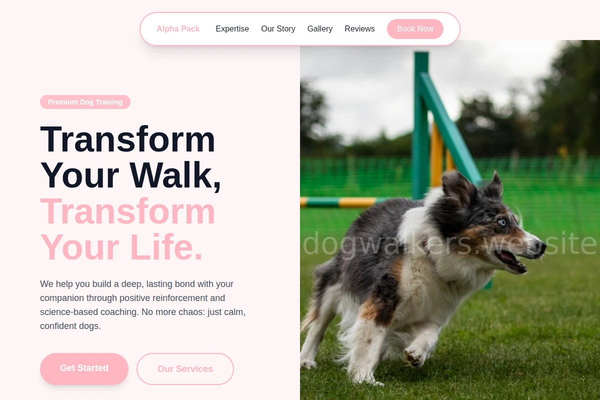 Walk Dog Training