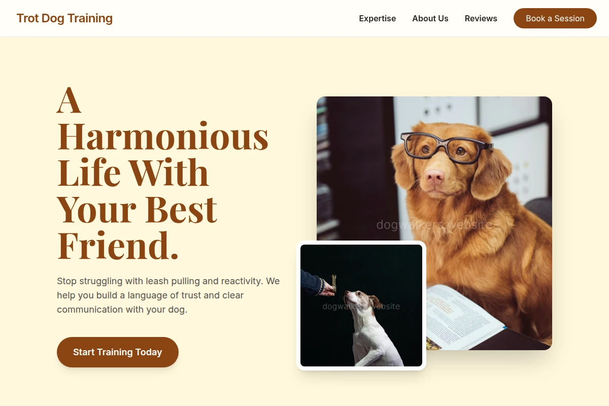 dog-training