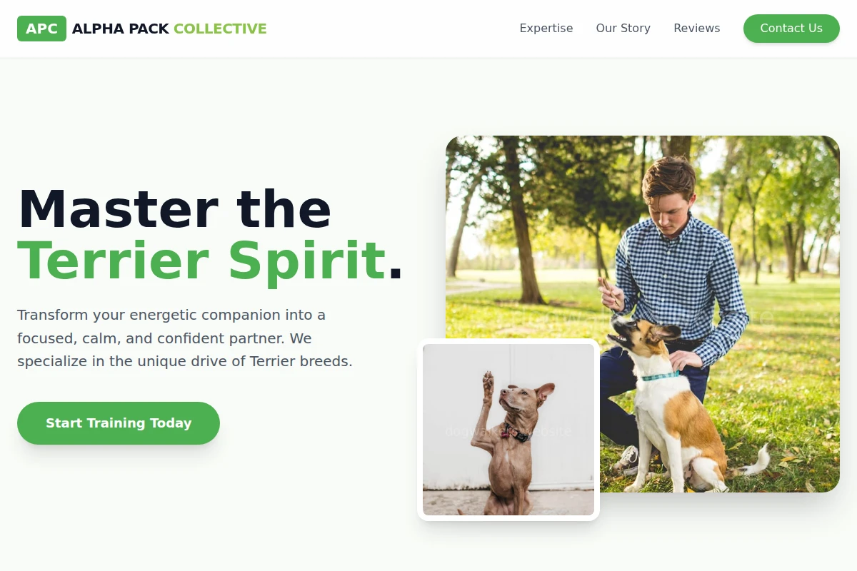 Terrier Dog Training