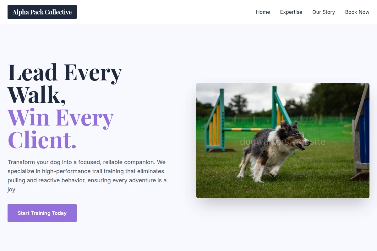 Trail Dog Training