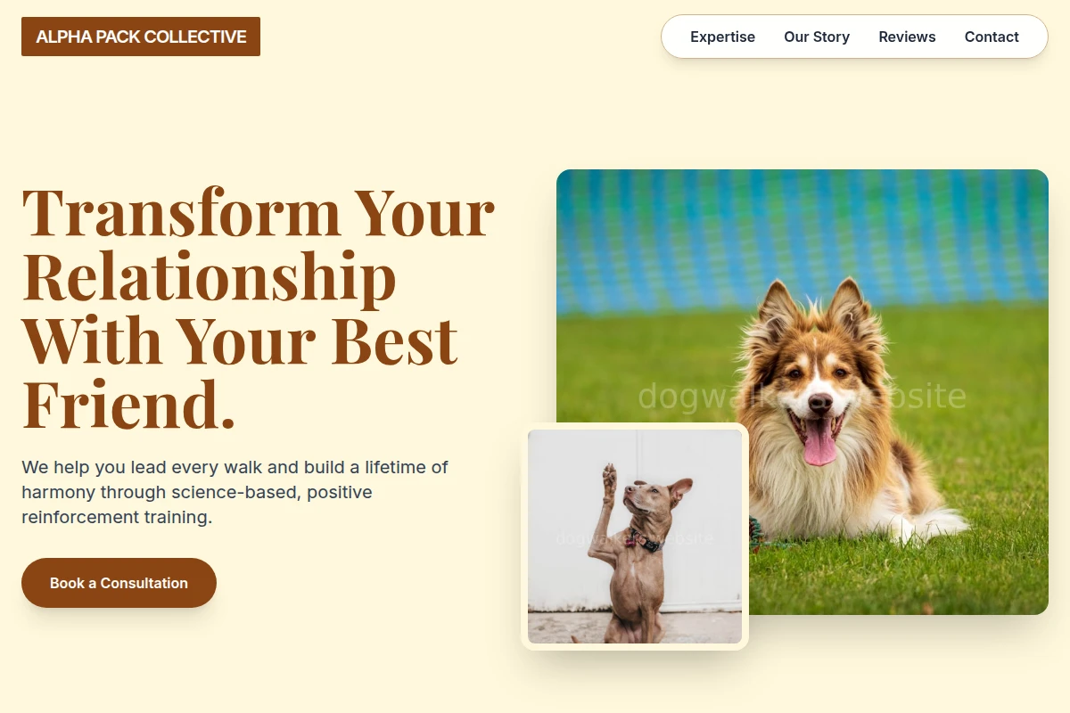 Wag Dog Training
