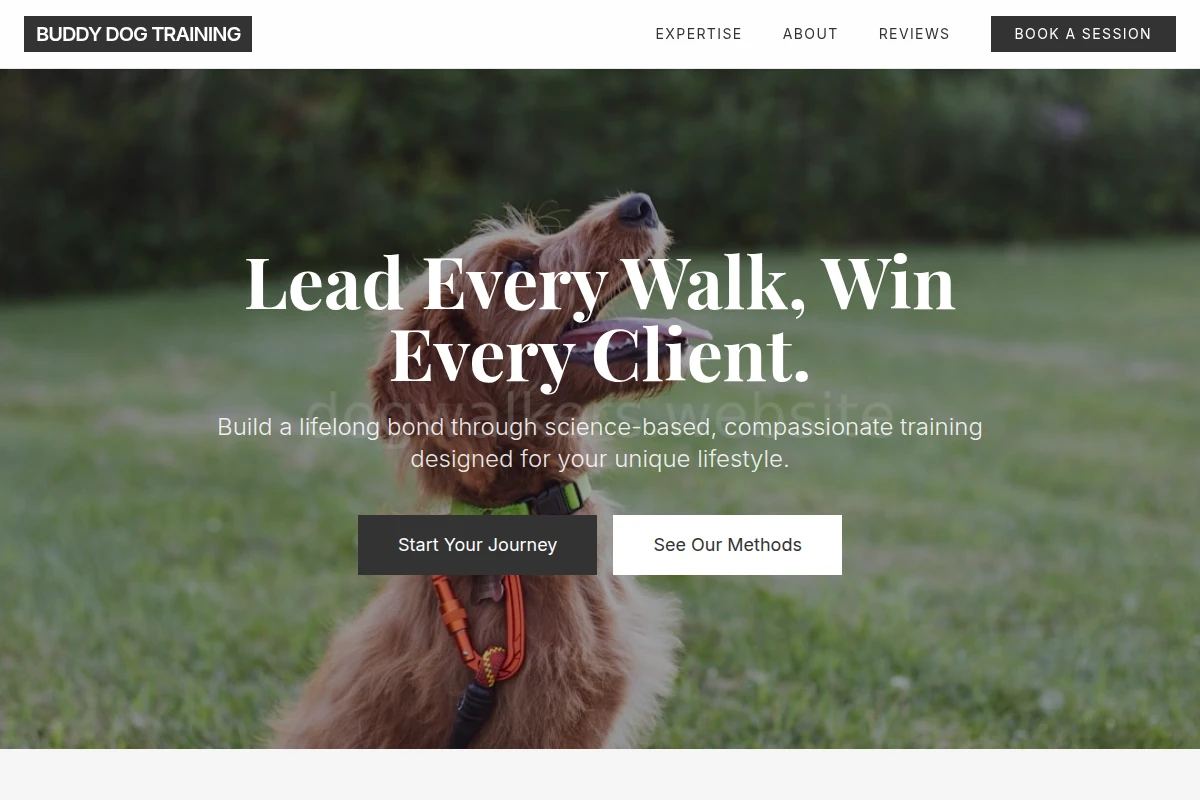 Buddy Dog Training