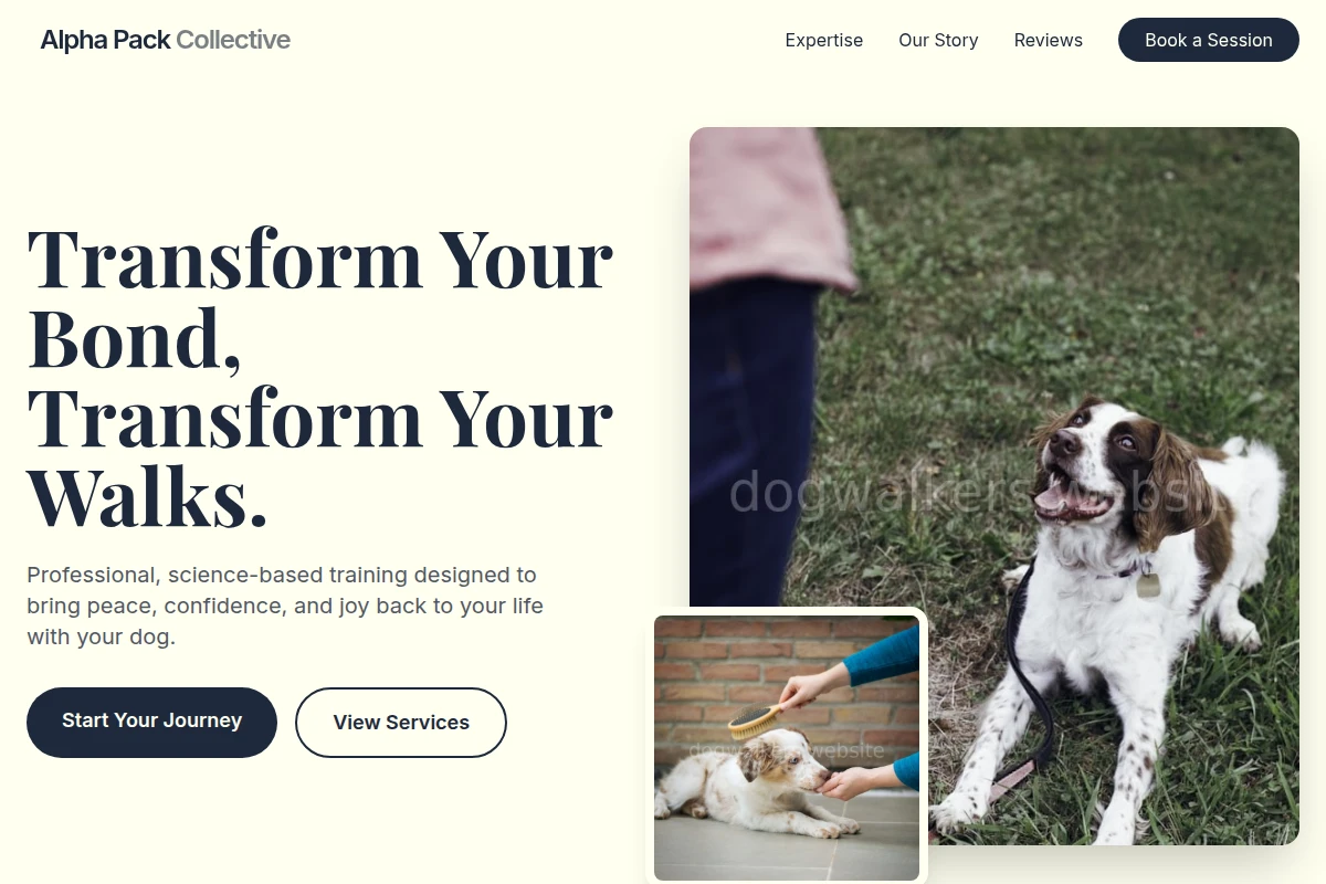 Bark Dog Training