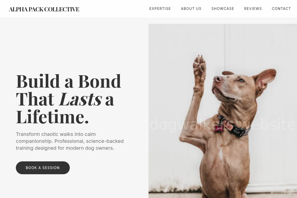 Trot Dog Training