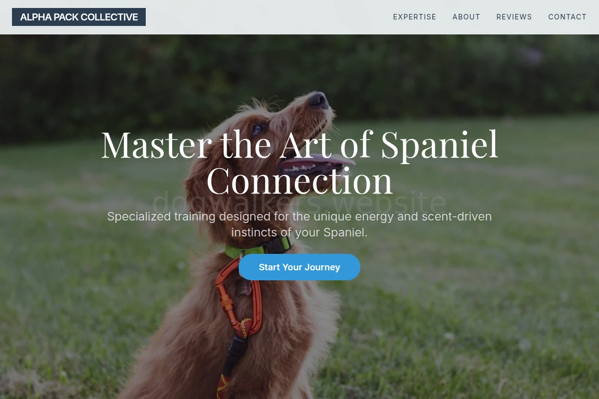 Spaniel Dog Training