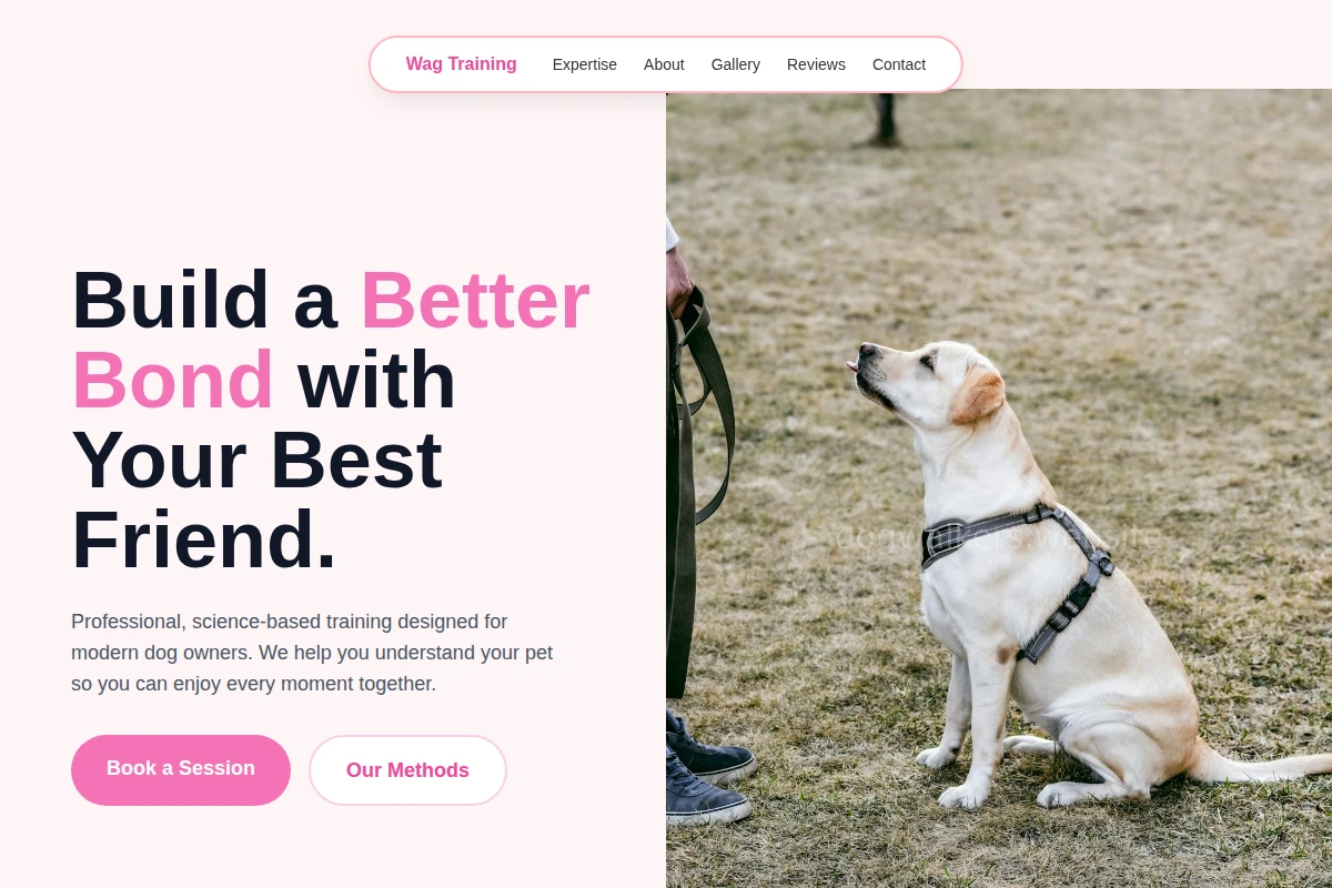 Wag Dog Training