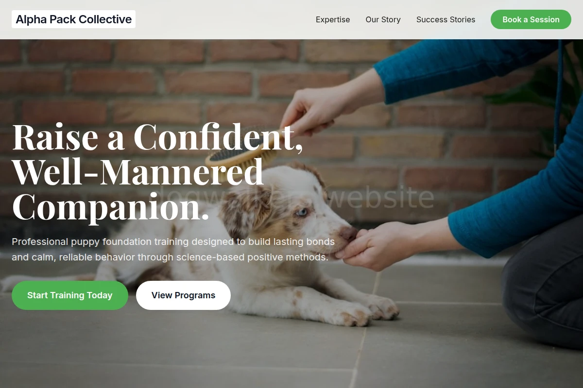 Puppy Dog Training