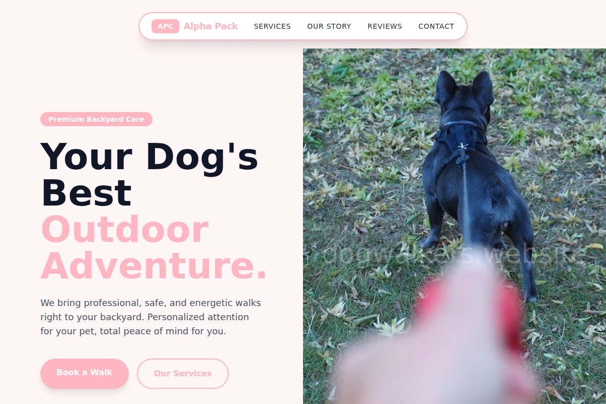 Backyard Dog Walker