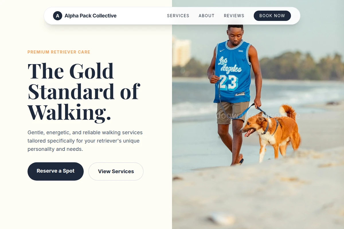 Retriever Dog Walker