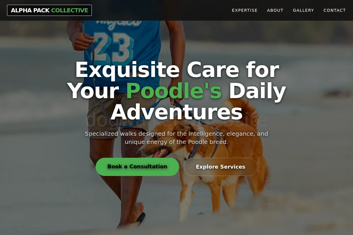 Poodle Dog Walker
