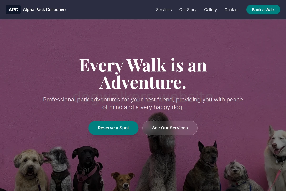 Park Dog Walker
