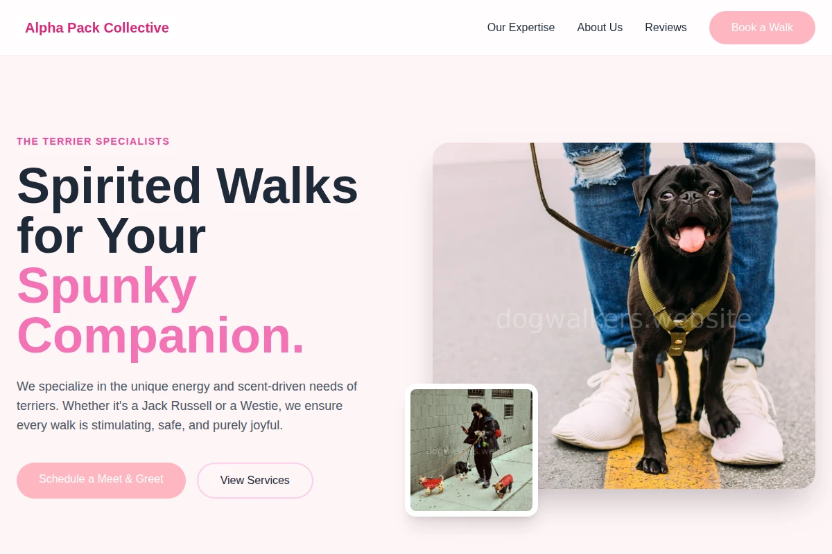 Terrier Dog Walker