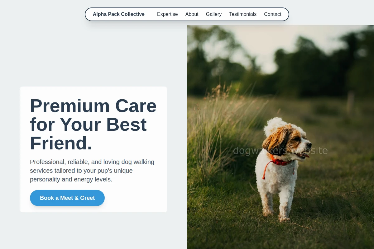 Canine Dog Walking