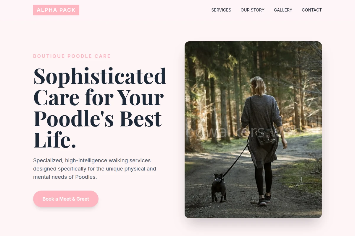 Poodle Dog Walking