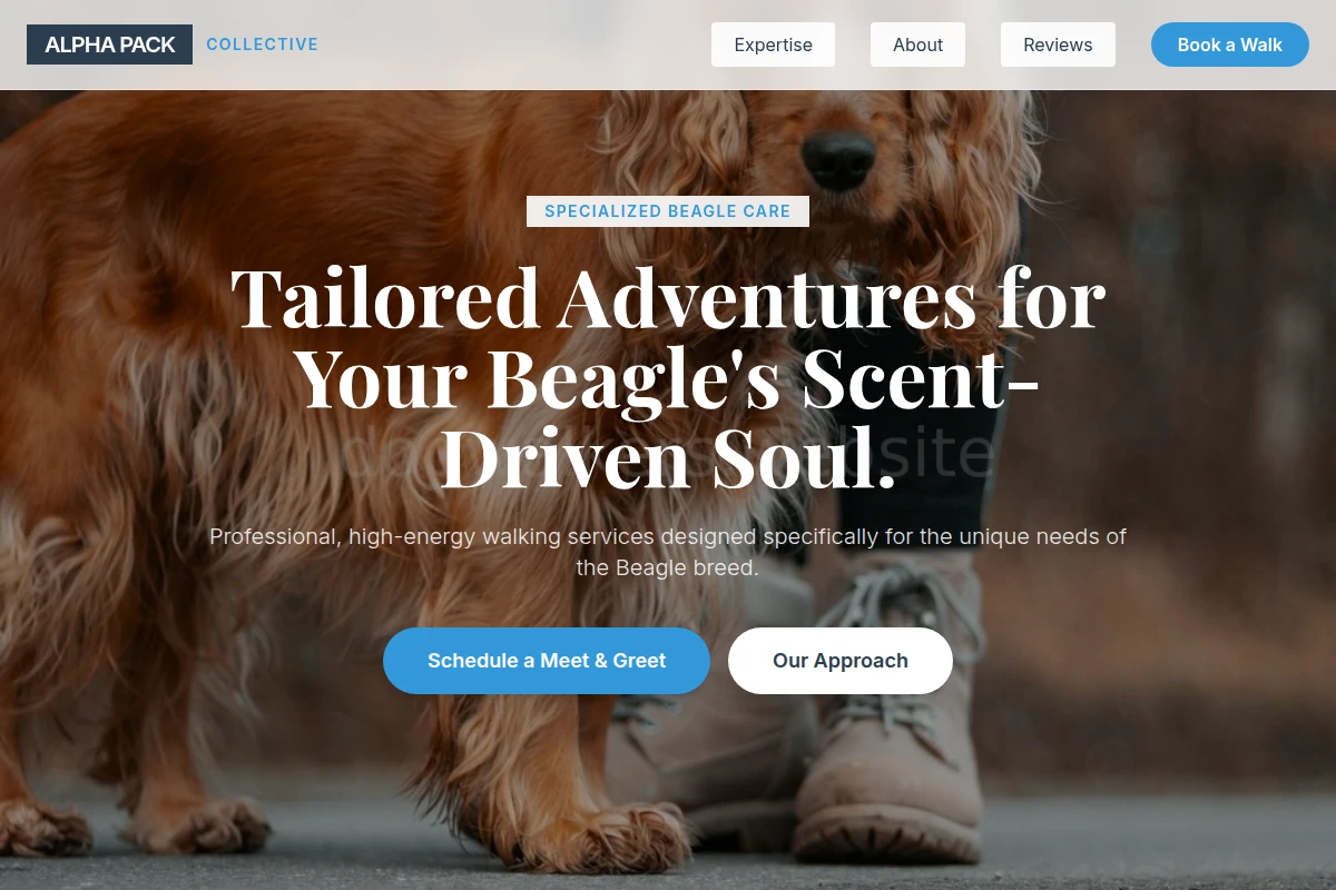 Beagle Dog Walking