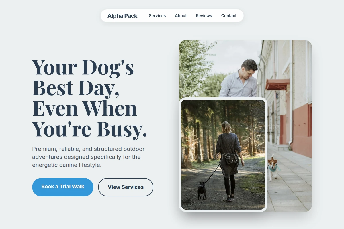 Pack Dog Walking