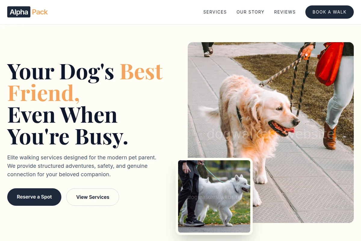 Fetch Dog Walking