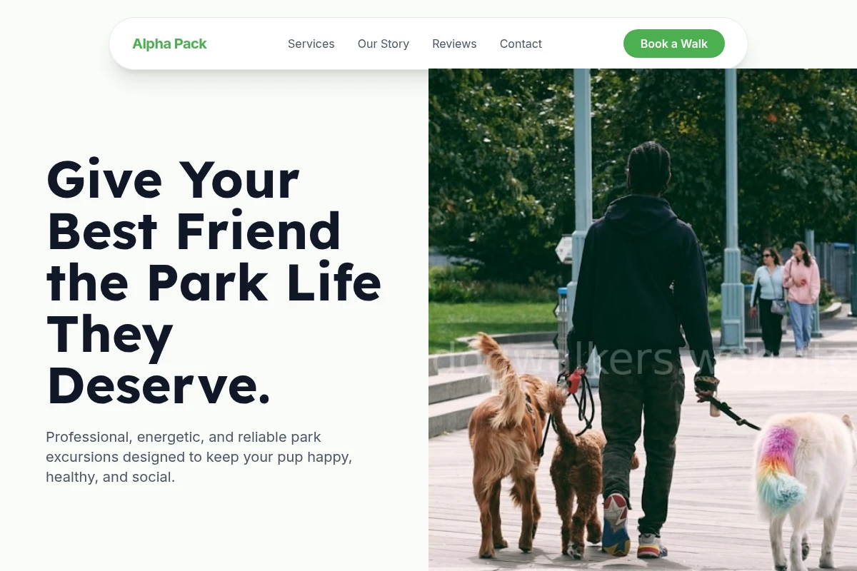 Park Dog Walking