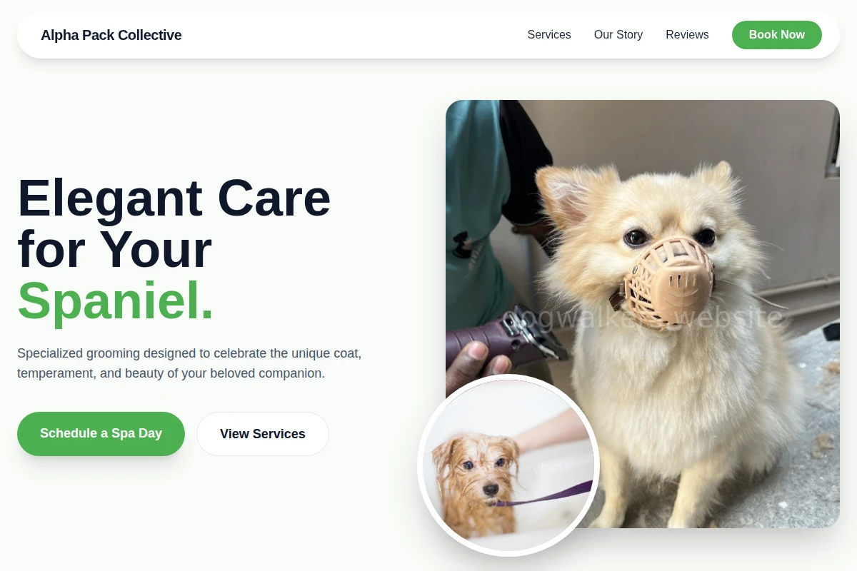 Spaniel Pet Grooming