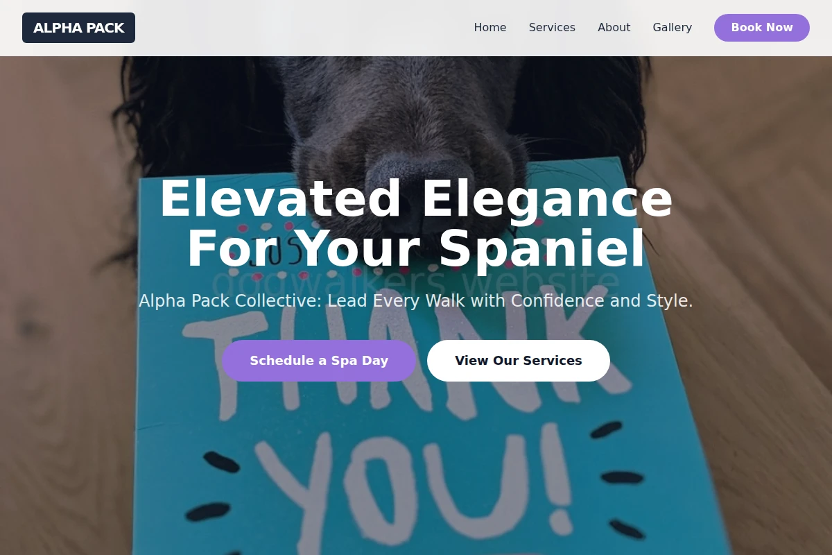 Spaniel Pet Grooming