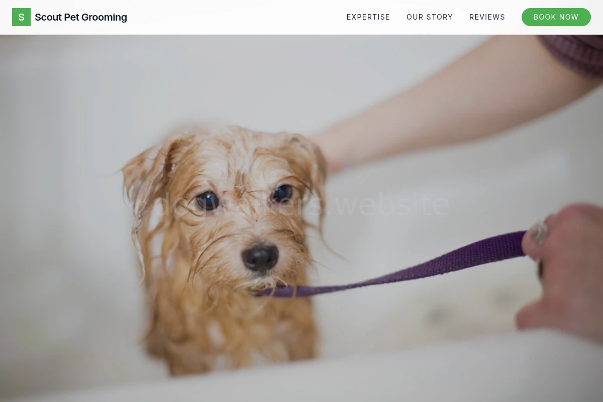 Scout Pet Grooming